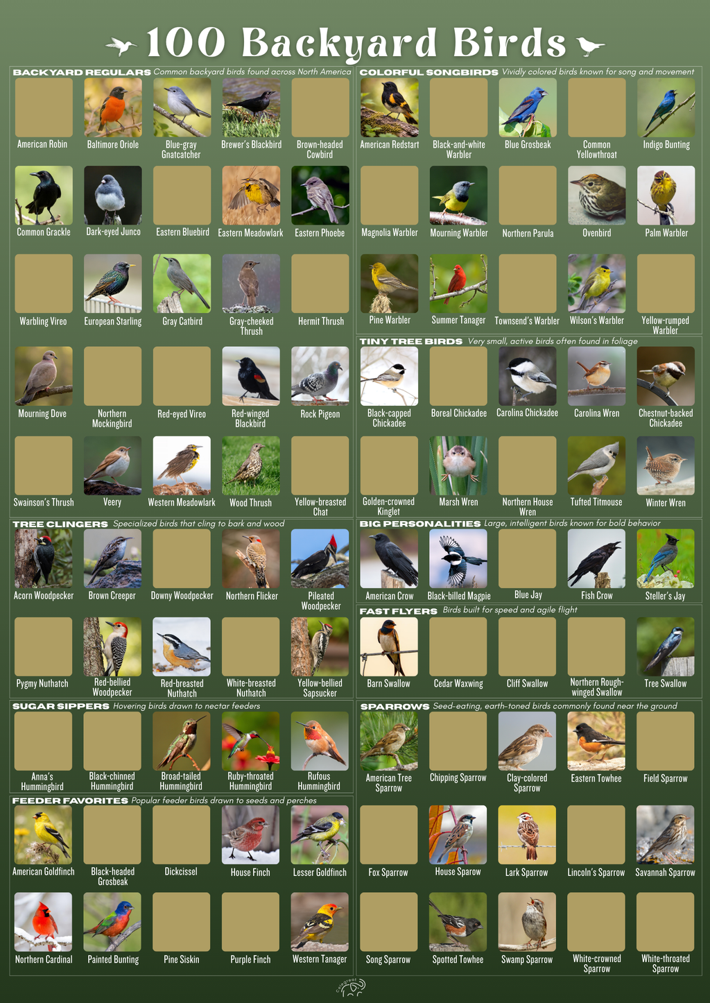 100 Backyard Birds