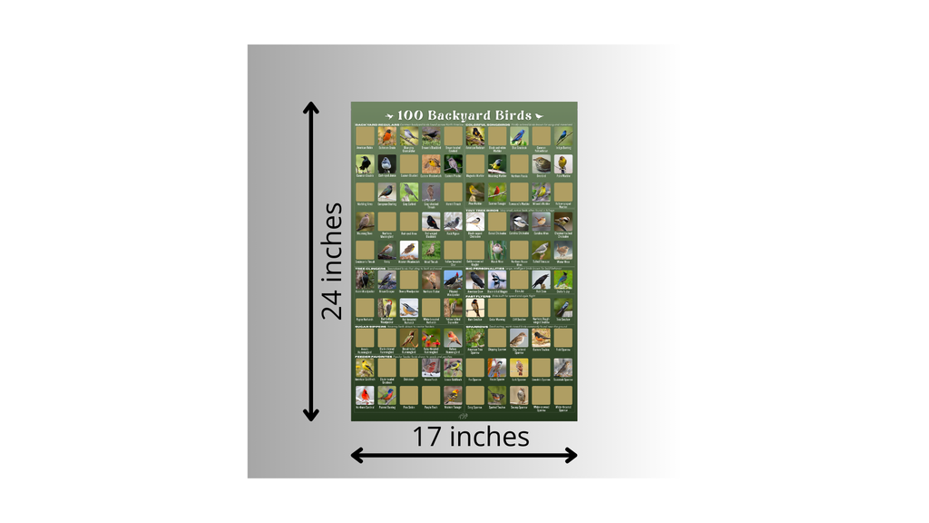 100 Backyard Birds