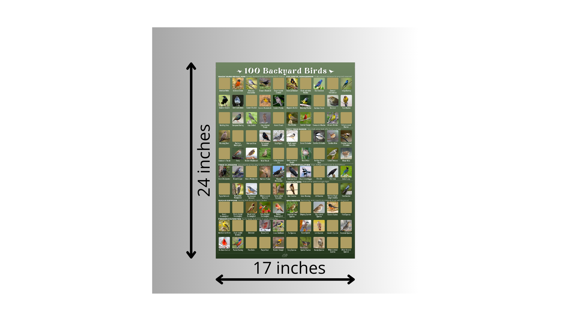 100 Backyard Birds