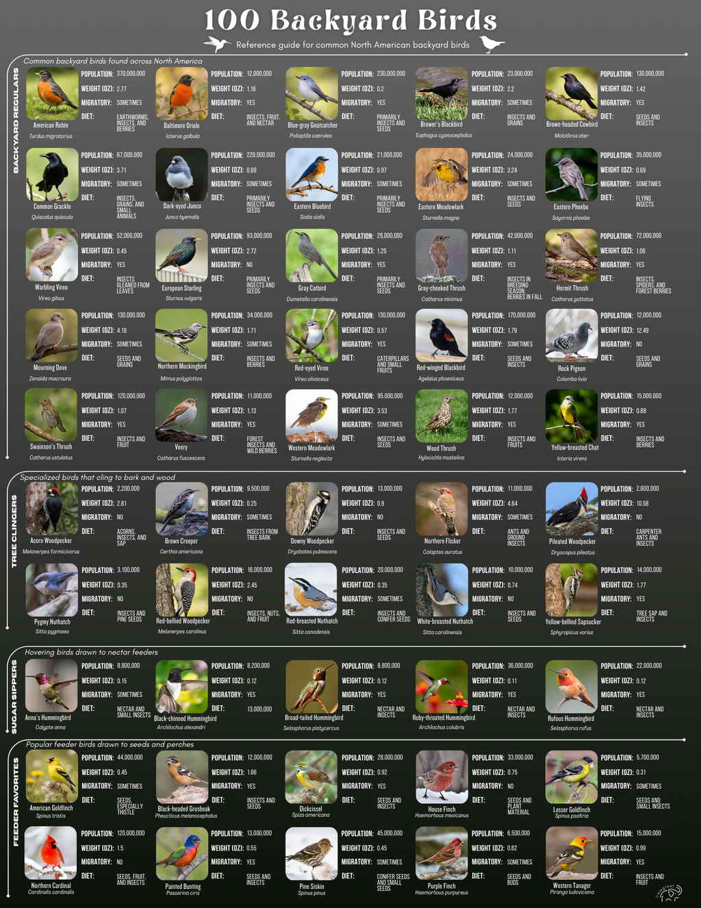 100 Backyard Birds