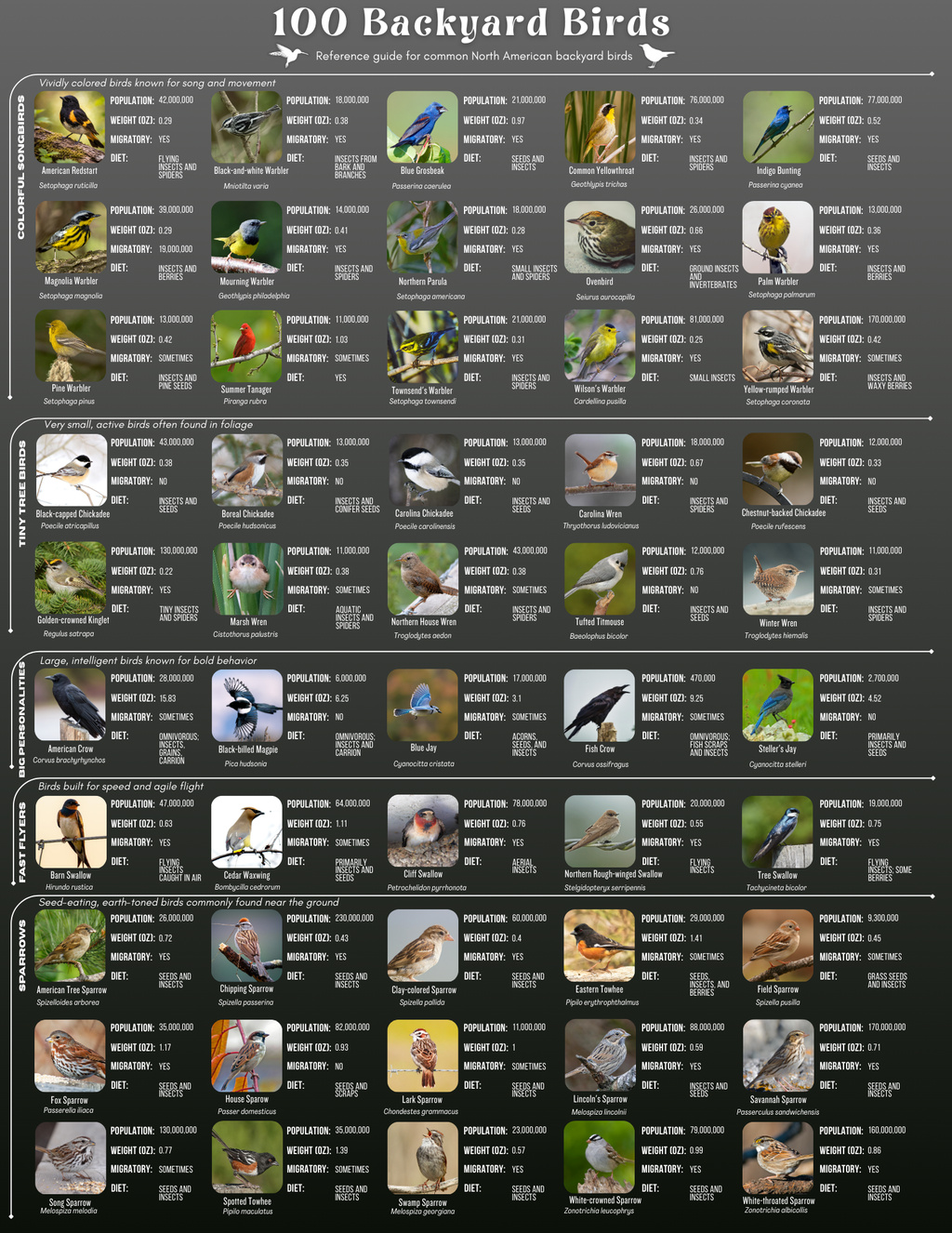 100 Backyard Birds