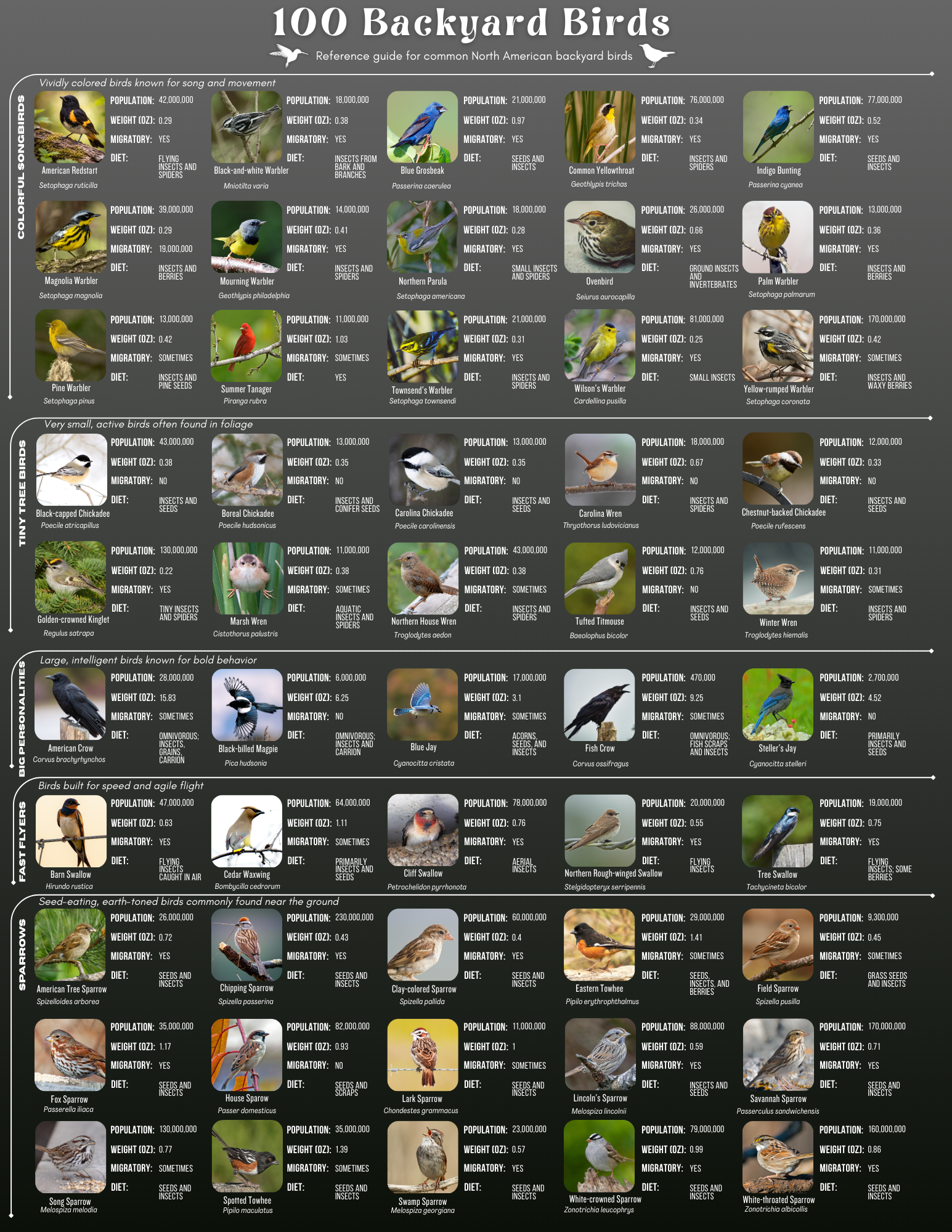 100 Backyard Birds
