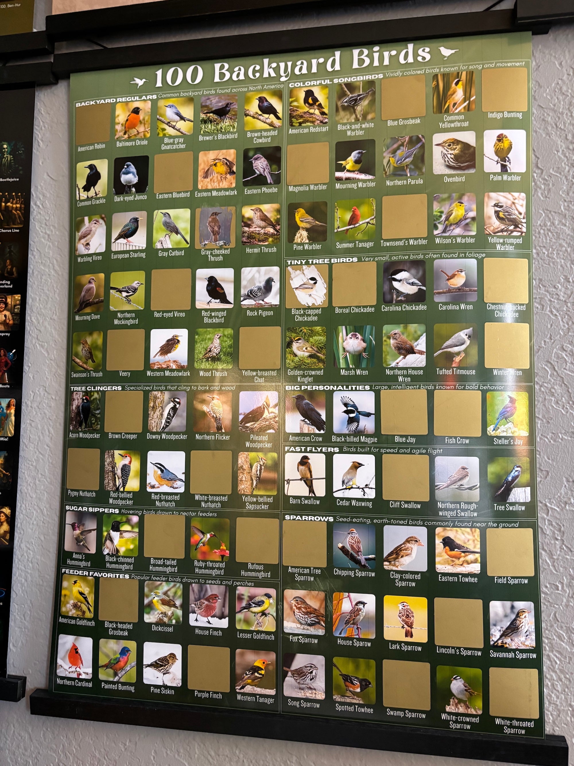 100 Backyard Birds
