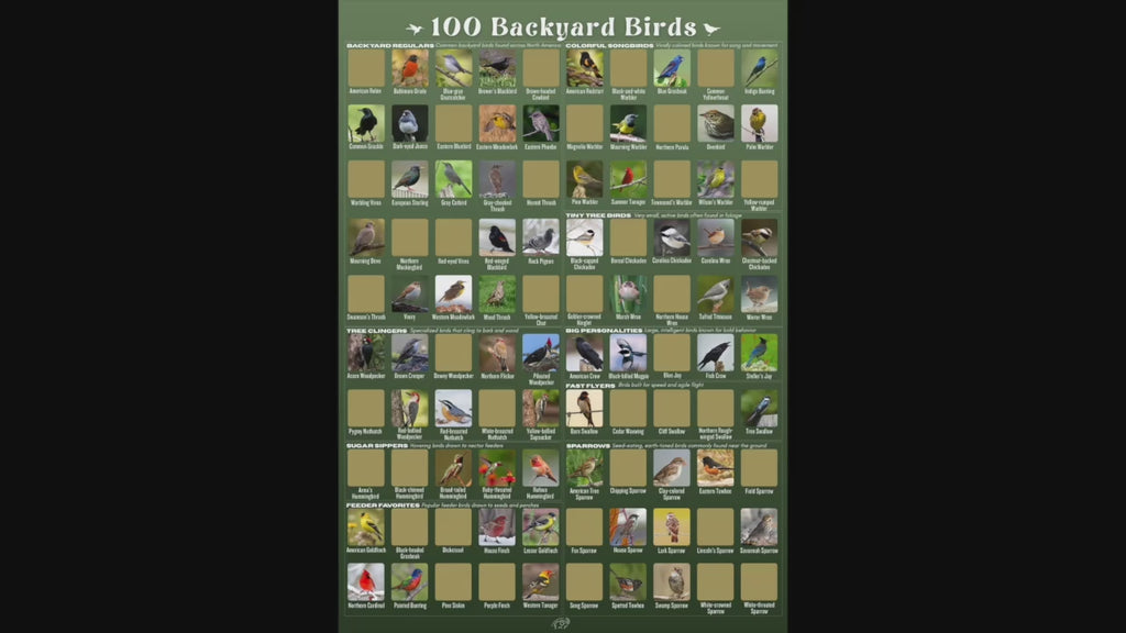 100 Backyard Birds