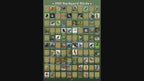 100 Backyard Birds