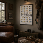 North American Waterfowl Scratch Off Poster